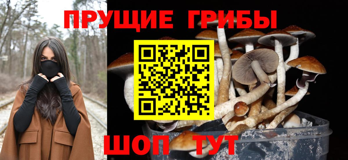 Батайск  Псилоцибиновые грибы Psilocybe  Вход с VPN  Псилоцибиновые грибы мицелий 