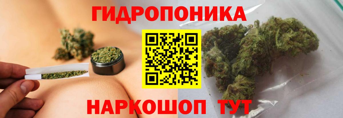 Бошки Шишки индика  Конопля Amnesia  Вход с VPN  Батайск  Конопля ГИДРОПОН  Канабис семена 